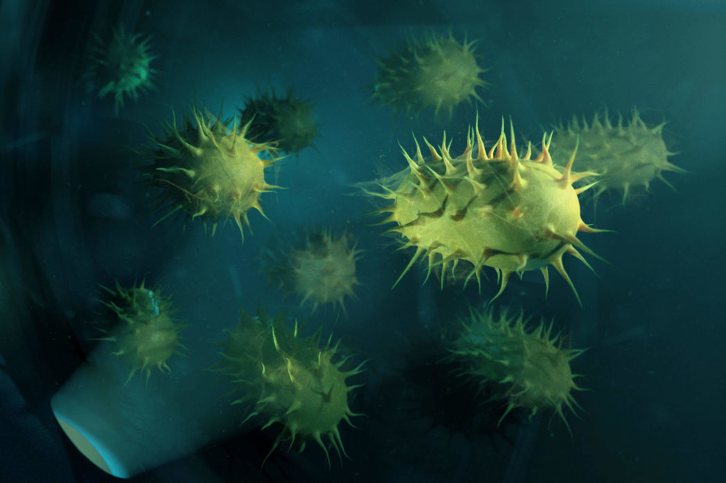 e coli bacteria